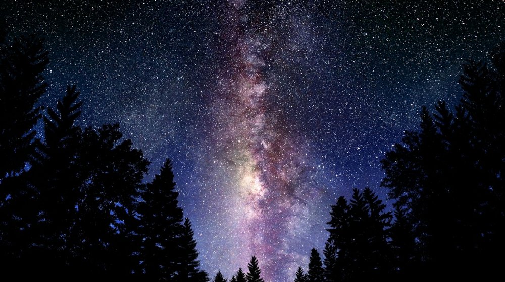 secret photos of stars quiz в„–74110 secret photos of stars quiz в„– 74109