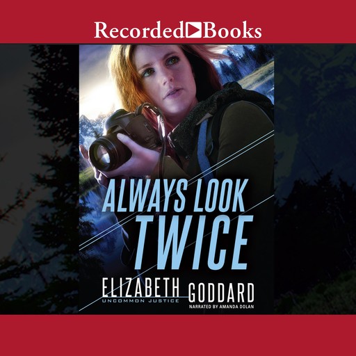 Always Look Twice, Elizabeth Goddard