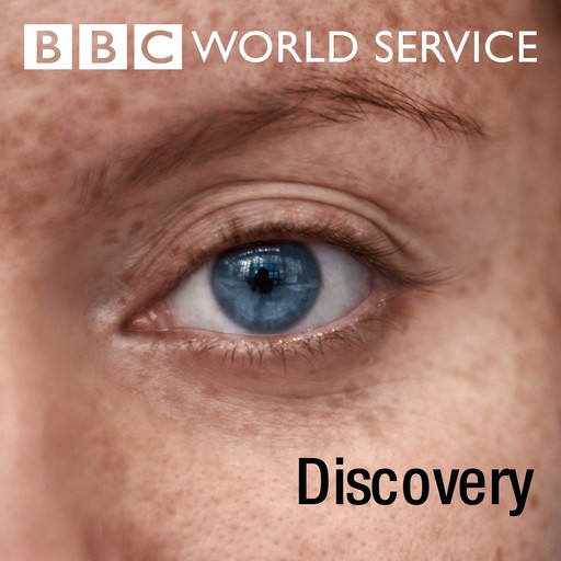 The Big Bang and Jet Streams, BBC World Service