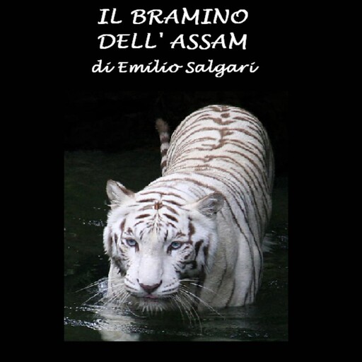 IL bramino dell'Assam, Emilio Salgari