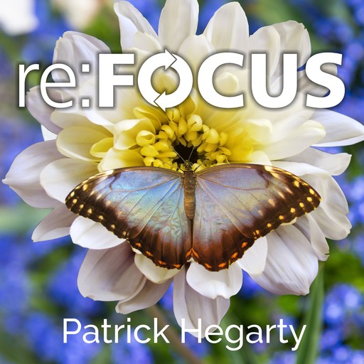 re:FOCUS, Patrick Hegarty