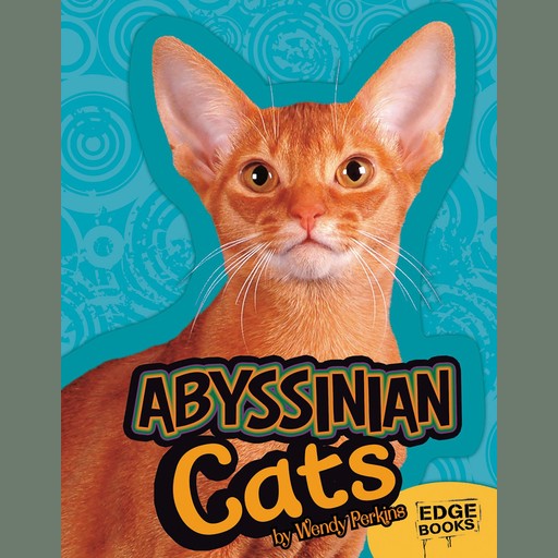 Abyssinian Cats, Joanne Mattern