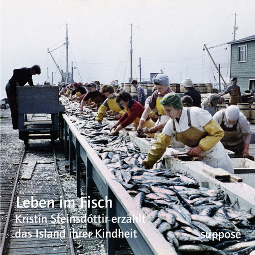 Leben im Fisch, Thomas Böhm, Klaus Sander, Kristín Steinsdóttir
