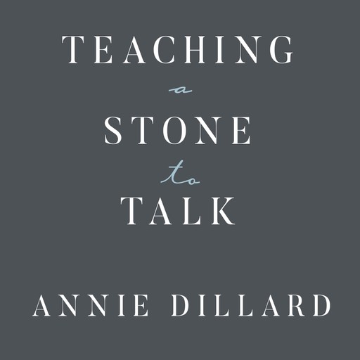 Teaching a Stone to Talk, Annie Dillard