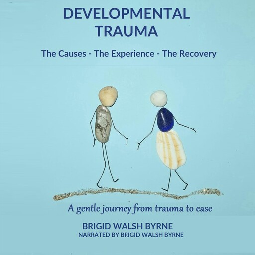 Developmental Trauma - The Causes - The Experience - The Recovery, Brigid Walsh Byrne