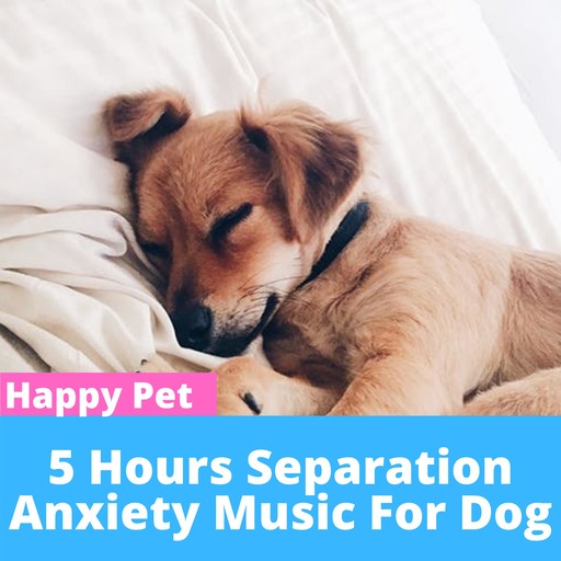 5 HOURS of Deep Separation Anxiety Music for Dog Relaxation!, Happy Pet