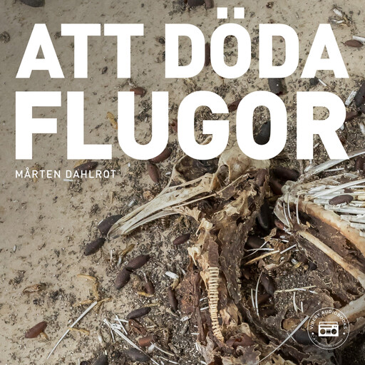 Att döda flugor, Mårten Dahlrot