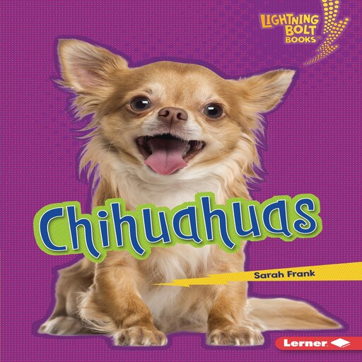 Chihuahuas, Sarah Frank