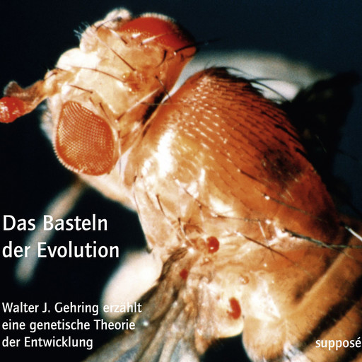 Das Basteln der Evolution, Klaus Sander, Walter J. Gehring
