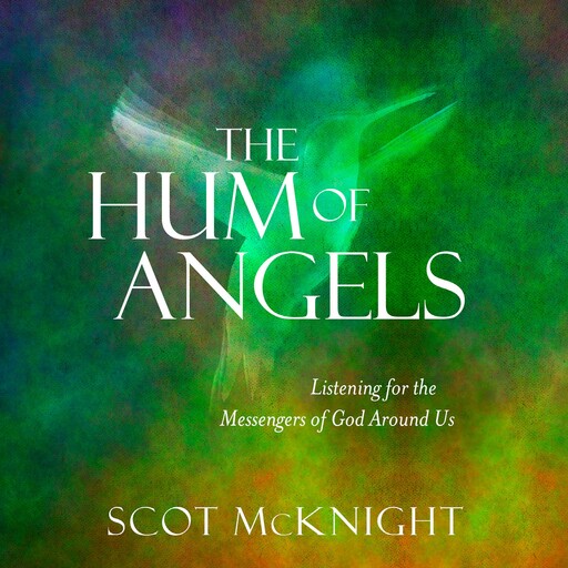 The Hum of Angels, Scot McKnight