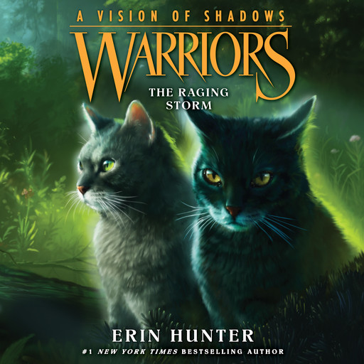 Warriors: A Vision of Shadows #6: The Raging Storm, Erin Hunter