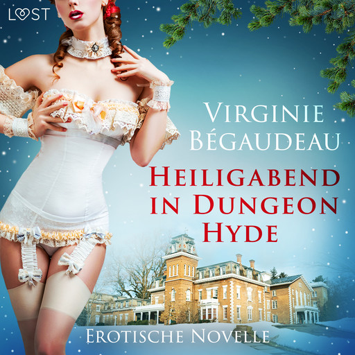 Heiligabend in Dungeon Hyde - Erotische Novelle, Virginie Bégaudeau