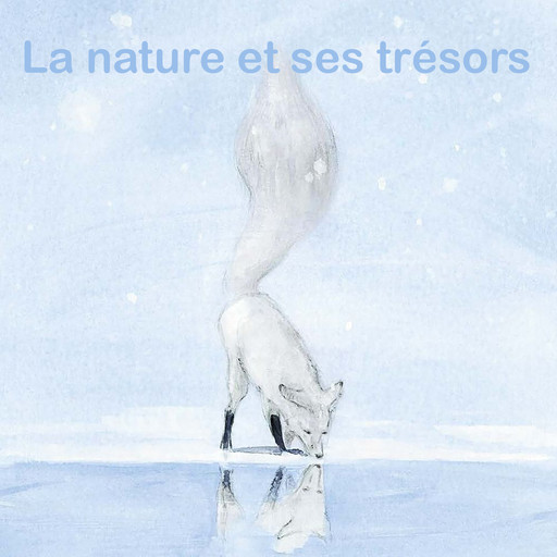 La nature et ses trésors, Kimiko, Christine Davenier, Olivier Tallec, Inbar Heller Algazi, Anne Brouillard