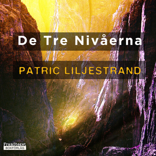 De tre nivåerna, Patric Liljestrand