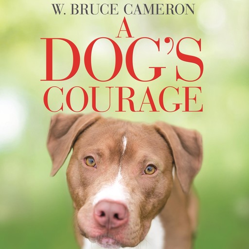 A Dog's Courage, W.Bruce Cameron