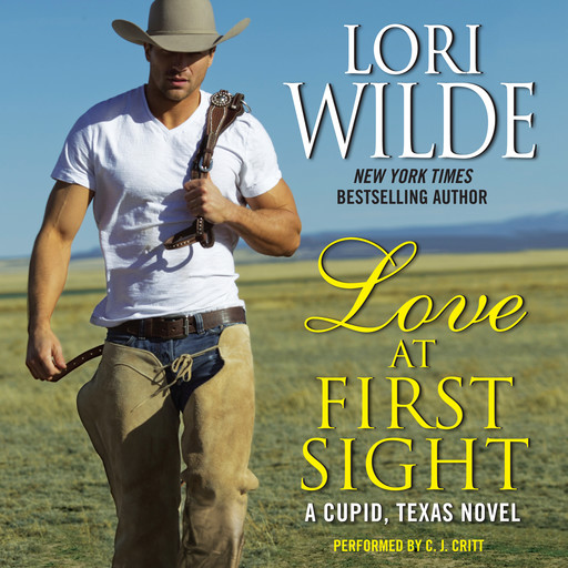 Love at First Sight, Lori Wilde