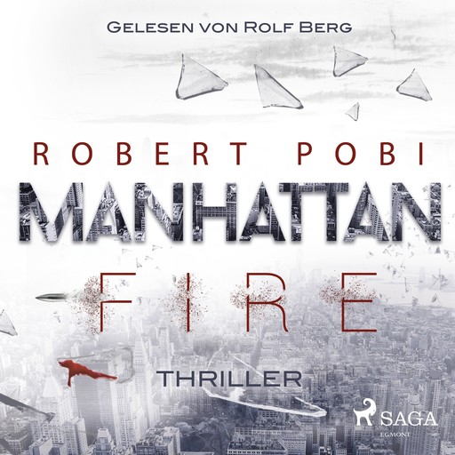 Manhattan Fire - Thriller, Robert Pobi