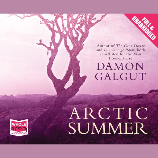 Arctic Summer, Damon Galgut
