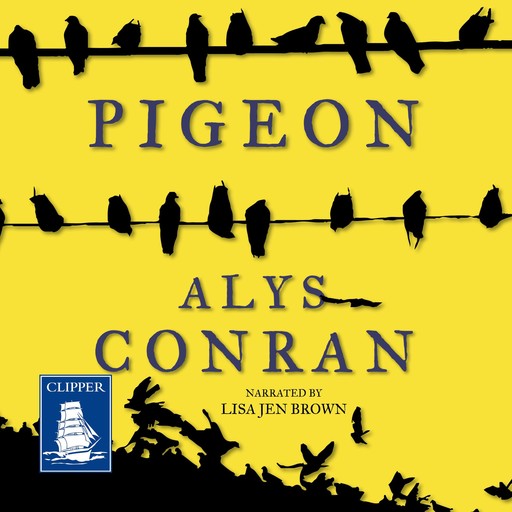 Pigeon, Alys Conran