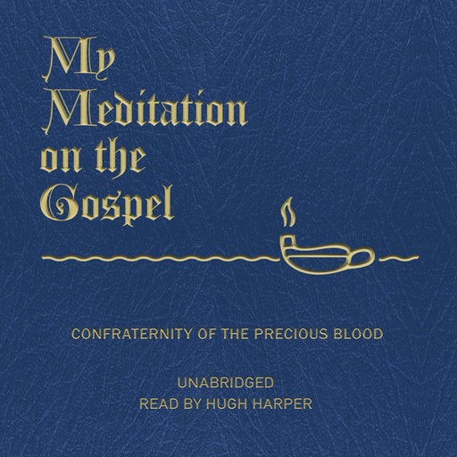 My Meditation on the Gospel, Fr. James E. Sullivan