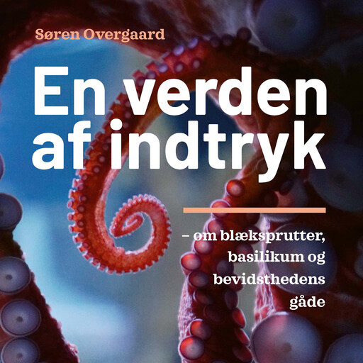 En verden af indtryk, Søren Overgaard