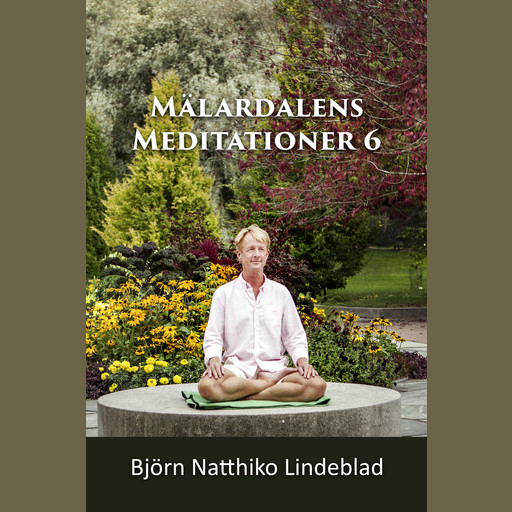 Mälardalens Meditationer 6, Björn Natthiko Lindeblad