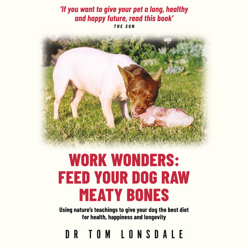 Work Wonders, Tom Lonsdale