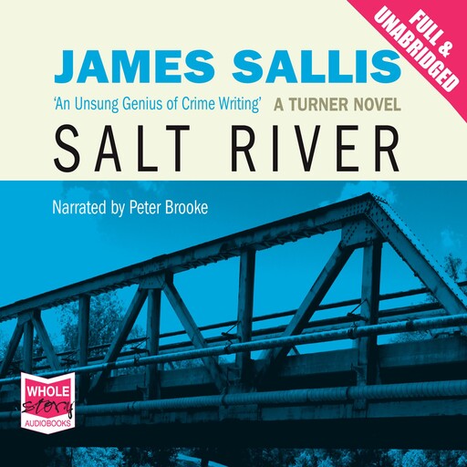 Salt River, James Sallis