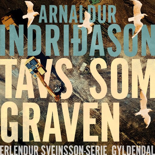 Tavs som graven, Arnaldur Indridason