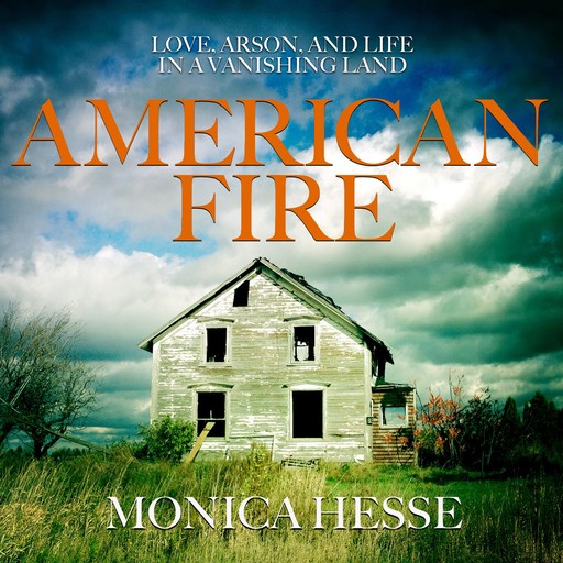 American Fire, Monica Hesse