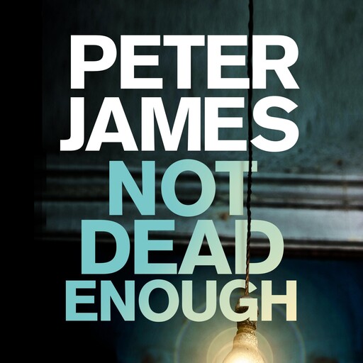 Not Dead Enough, Peter James
