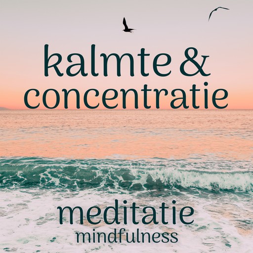 Kalmte en Concentratie: Mindfulness Meditatie, Suzan van der Goes