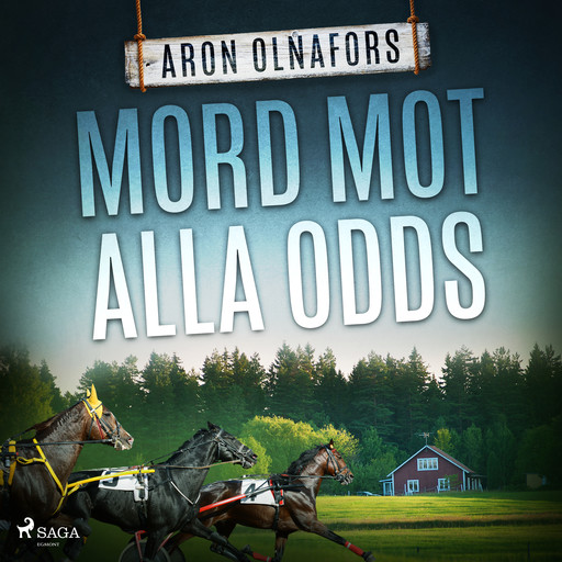 Mord mot alla odds, Aron Olnafors