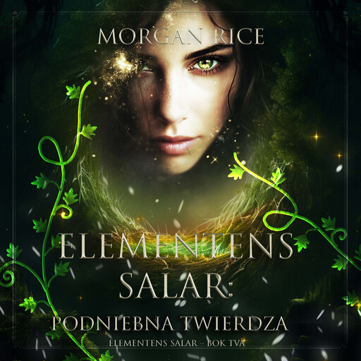 Elementens salar: Skyhold (Elementens salar – Bok två), Morgan Rice