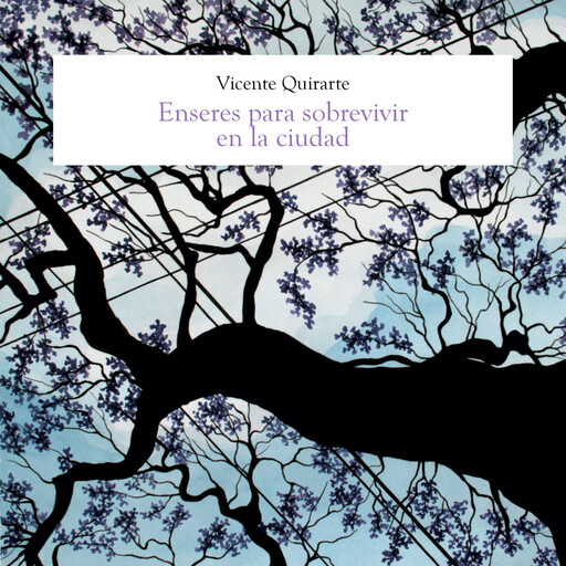 Enseres para sobrevivir en la ciudad, Vicente Quirarte