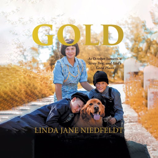 Gold: As October Sunsets, a Stray Dog, and God's Good Plans, Linda Jane Niedfeldt