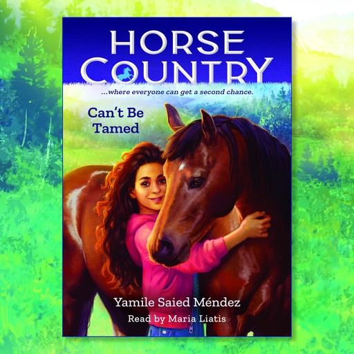 Horse Country #1, Yamile Saied Méndez