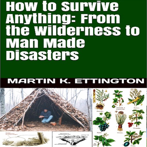 How to Survive Anything: From the Wilderness to Man Made Disasters, Martin K. Ettington