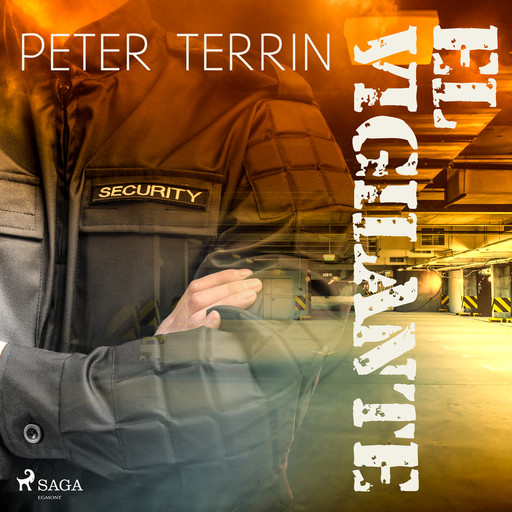 El vigilante, Peter Terrin