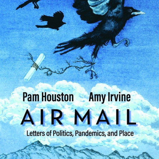 Air Mail, Amy Irvine, Pam Houston