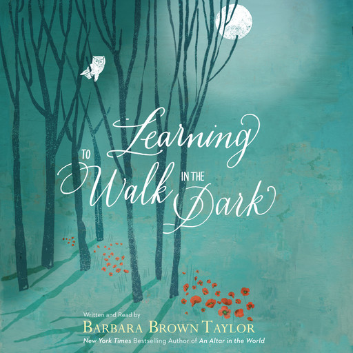 Learning to Walk in the Dark, Barbara Taylor