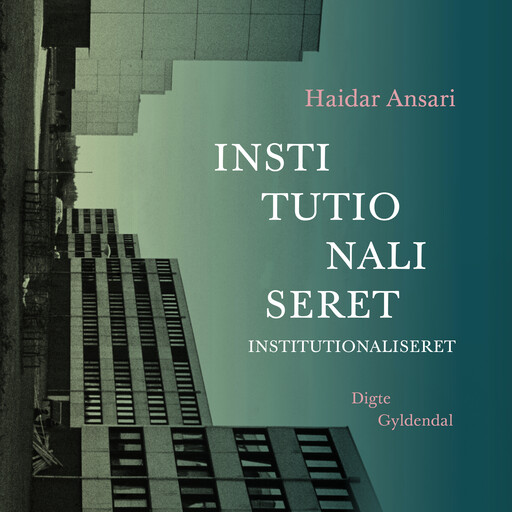 Institutionaliseret, Haidar Ansari