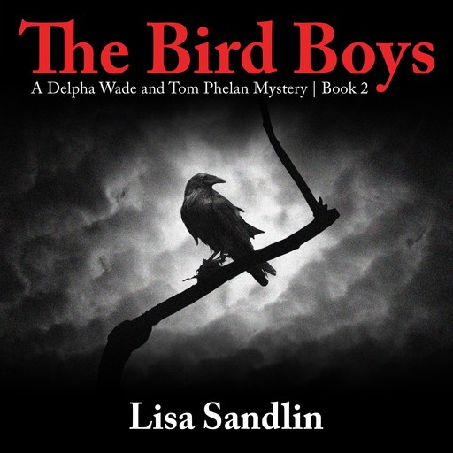 The Bird Boys, Lisa Sandlin