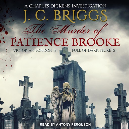The Murder of Patience Brooke, J.C.Briggs