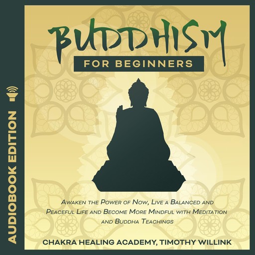 Buddhism for Beginners, Timothy Willink