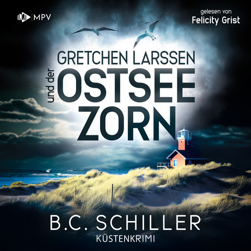 Gretchen Larssen und der Ostseezorn - Ein Fall für Gretchen Larssen, Band 3 (ungekürzt), B.C. Schiller