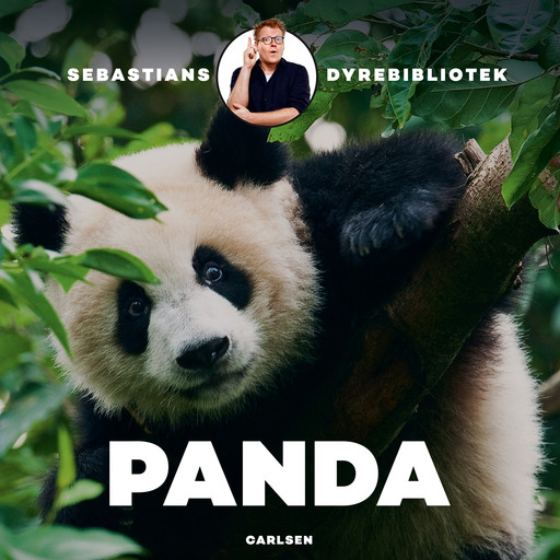 Sebastians dyrebibliotek - Panda, Sebastian Klein