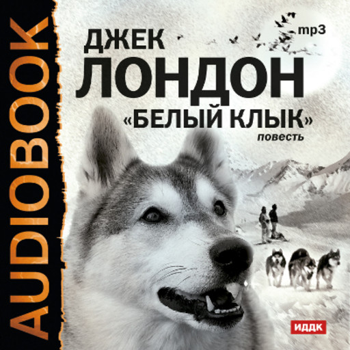 Джек лондон белый клык картинки из книги