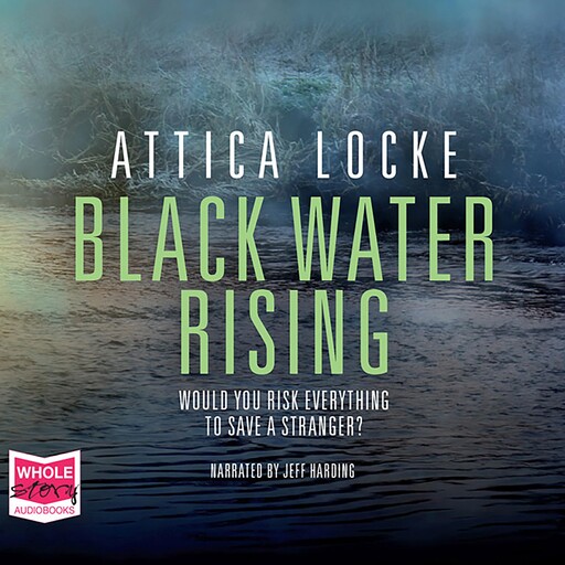 Black Water Rising, Attica Locke