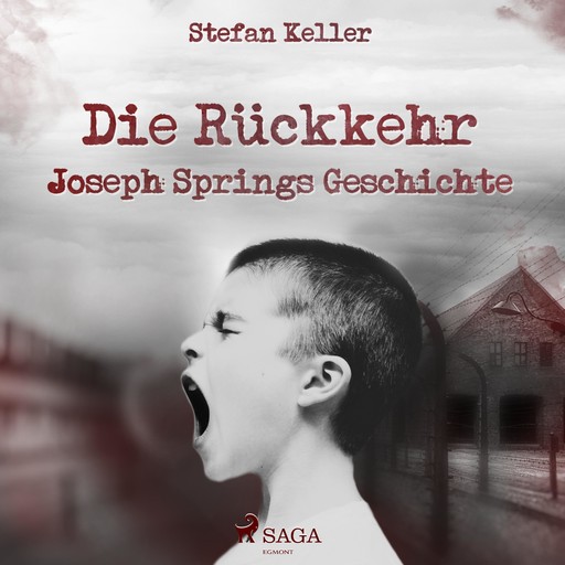 Die Rückkehr - Joseph Springs Geschichte (Ungekürzt), Stefan Keller